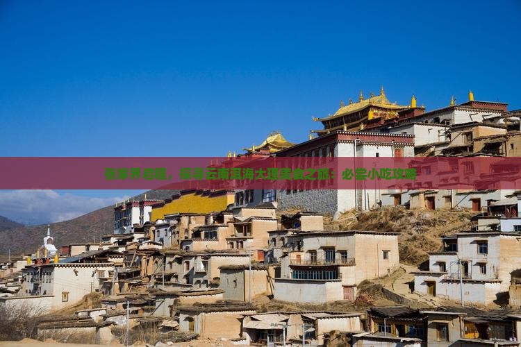 张家界启程，探寻云南洱海大理美食之旅：必尝小吃攻略