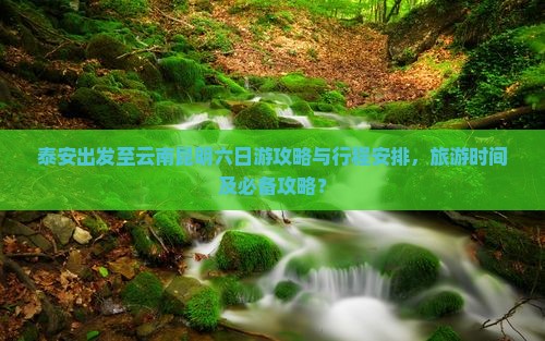 泰安出发至云南昆明六日游攻略与行程安排，旅游时间及必备攻略？
