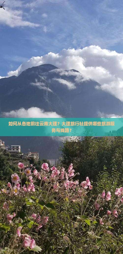 如何从各地前往云南大理？大理旅行社提供哪些旅游服务与线路？