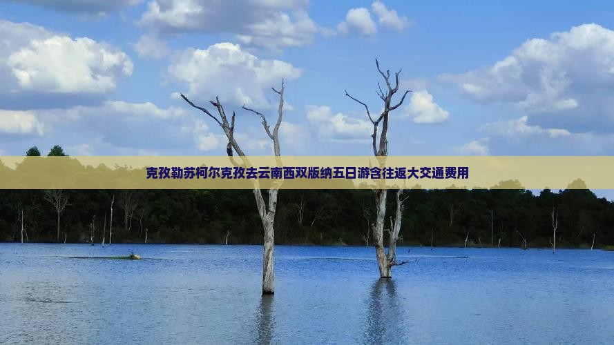 克孜勒苏柯尔克孜去云南西双版纳五日游含往返大交通费用