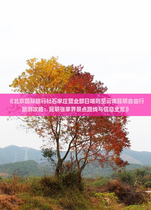 《北京国际旅行社石家庄营业部日喀则至云南昆明自由行旅游攻略：昆明张家界景点路线与信息全览》