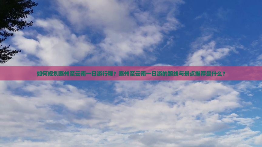 如何规划泰州至云南一日游行程？泰州至云南一日游的路线与景点推荐是什么？