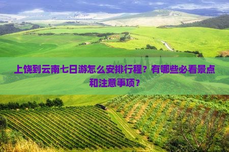 上饶到云南七日游怎么安排行程？有哪些必看景点和注意事项？