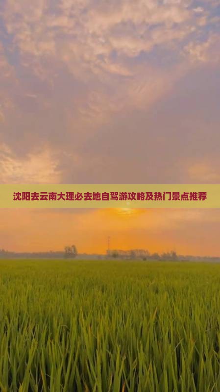 沈阳去云南大理必去地自驾游攻略及热门景点推荐