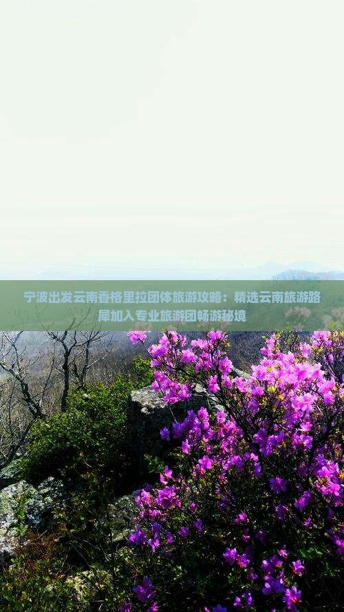 宁波出发云南香格里拉团体旅游攻略：精选云南旅游路犀加入专业旅游团畅游秘境