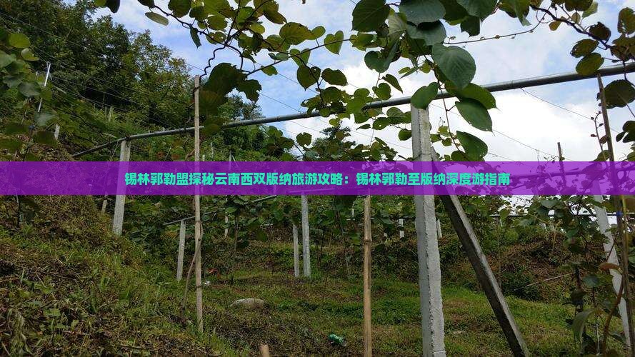 锡林郭勒盟探秘云南西双版纳旅游攻略：锡林郭勒至版纳深度游指南