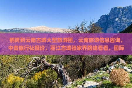 鹤岗到云南古城大型旅游团，云南旅游信息咨询，中青旅行社报价，丽江古城张家界路线看看，国际旅游攻略多少钱