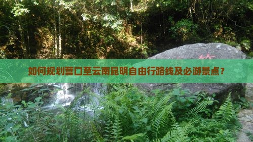 如何规划营口至云南昆明自由行路线及必游景点？