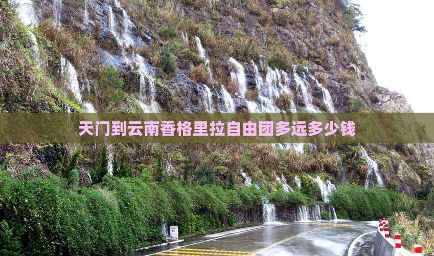 天门到云南香格里拉自由团多远多少钱