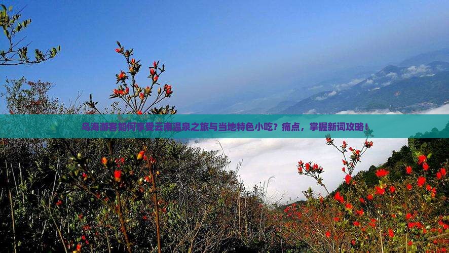 乌海游客如何享受云南温泉之旅与当地特色小吃？痛点，掌握新词攻略！