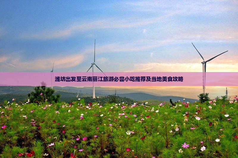 潍坊出发至云南丽江旅游必尝小吃推荐及当地美食攻略