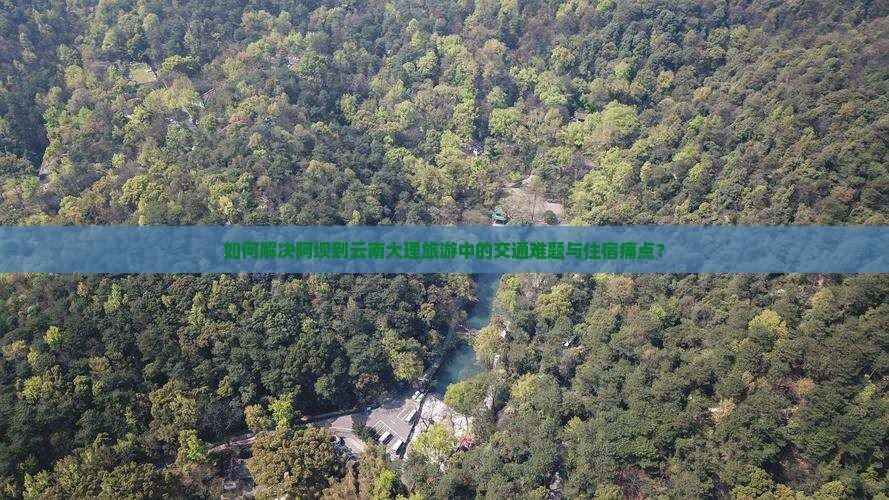 如何解决阿坝到云南大理旅游中的交通难题与住宿痛点？