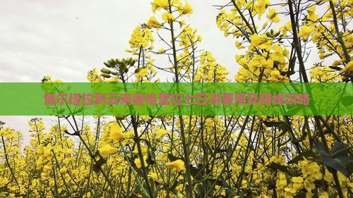 博尔塔拉到云南香格里拉七日游费用及路线攻略
