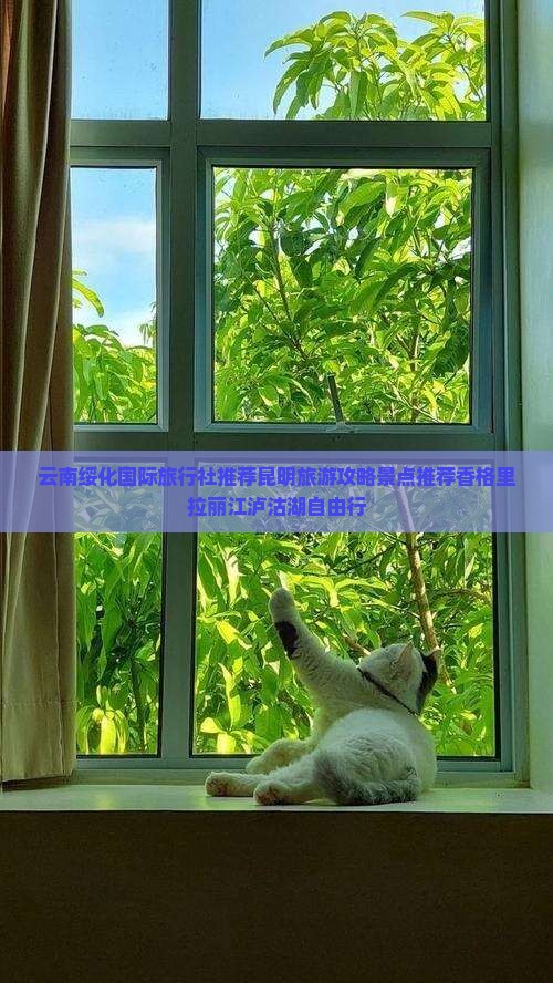 云南绥化国际旅行社推荐昆明旅游攻略景点推荐香格里拉丽江泸沽湖自由行