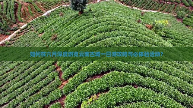 如何在六月深度游览云南古城一日游攻略与必体验活动？