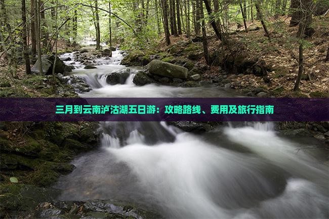 三月到云南泸沽湖五日游：攻略路线、费用及旅行指南
