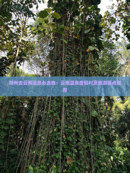 朔州去云南温泉必去地：云南温泉度假村及旅游景点推荐