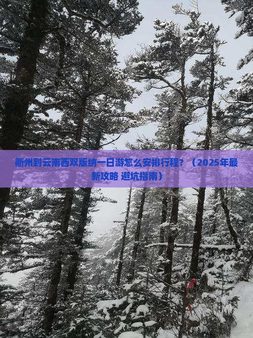 衢州去云南西双版纳一日