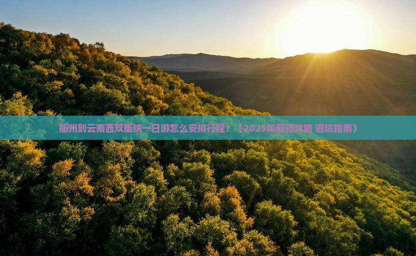 衢州去云南西双版纳一日