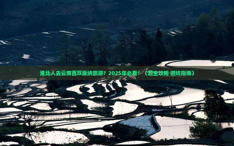 淮北到云南西双版纳旅游