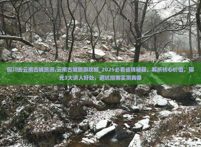 铜川去云南古城旅游