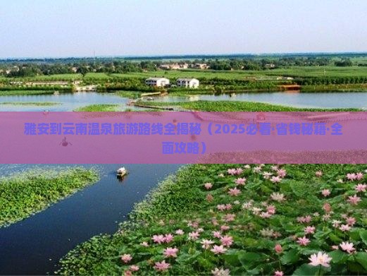 雅安到云南温泉个人游