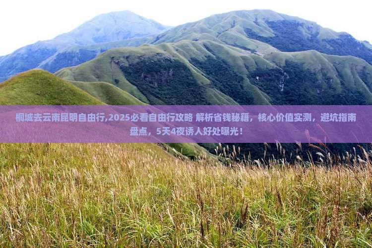 桐城去云南昆明自由行