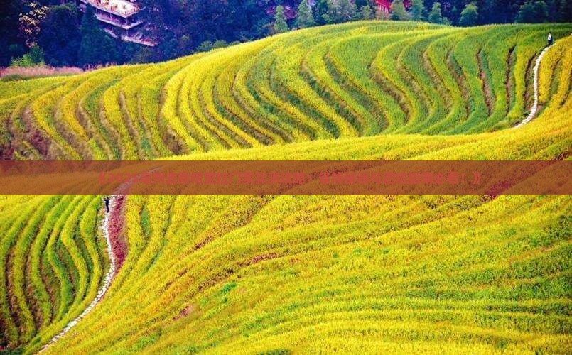亳州去云南香格里拉门票