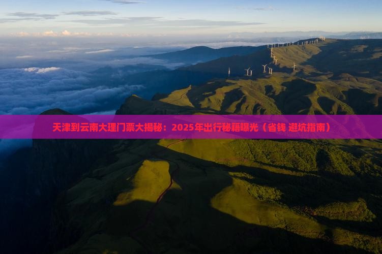 天津到云南大理门票