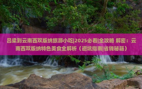 吕梁到云南西双版纳旅游小吃