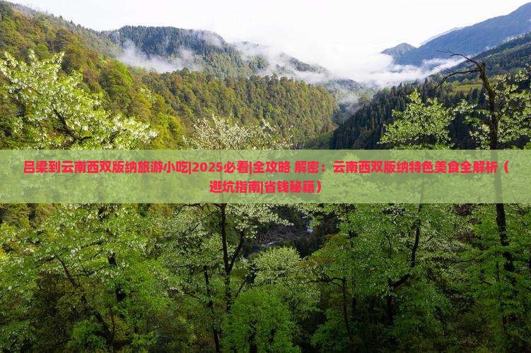 吕梁到云南西双版纳旅游小吃