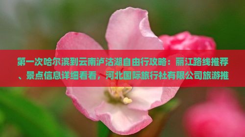 哈尔滨到云南泸沽湖攻略