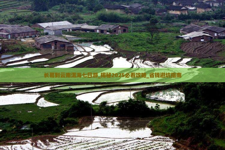 长葛到云南洱海七日游