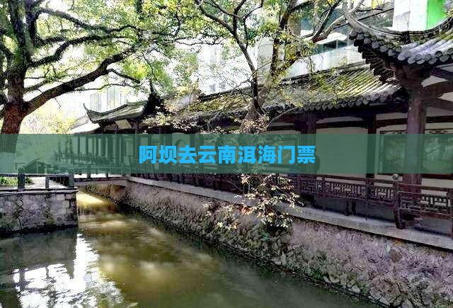 阿坝去云南洱海门票