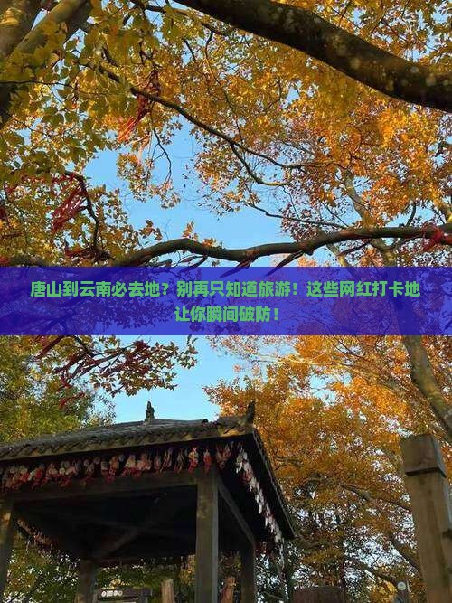 唐山到云南必去地