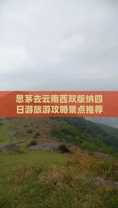 思茅去云南西双版纳四日游
