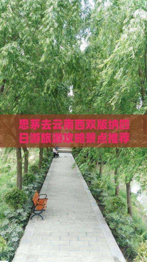 思茅去云南西双版纳四日游