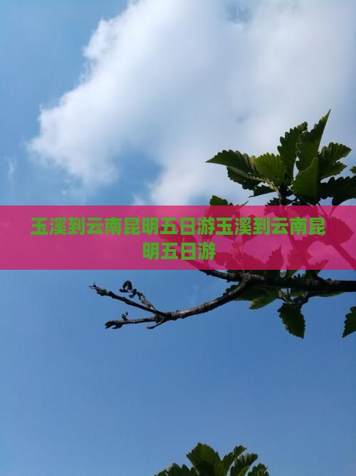 玉溪到云南昆明五日游