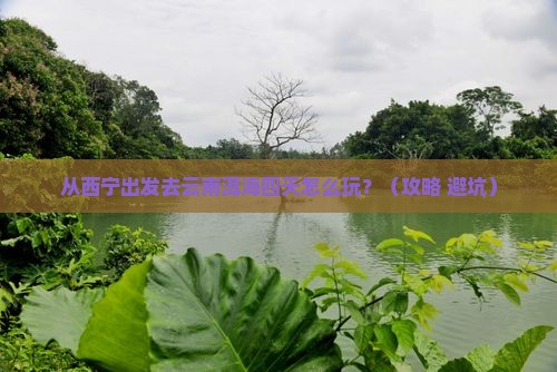 西宁去云南洱海四日游