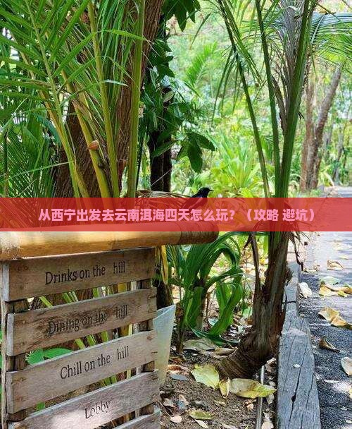 西宁去云南洱海四日游