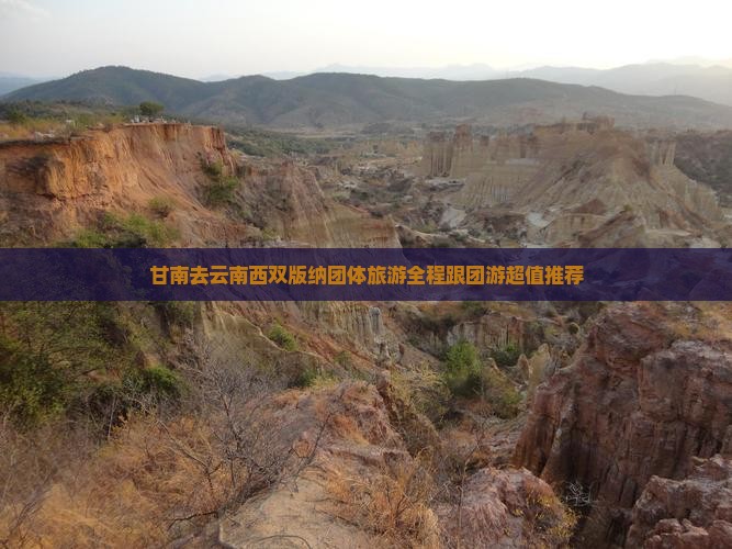 甘南去云南西双版纳团体旅游