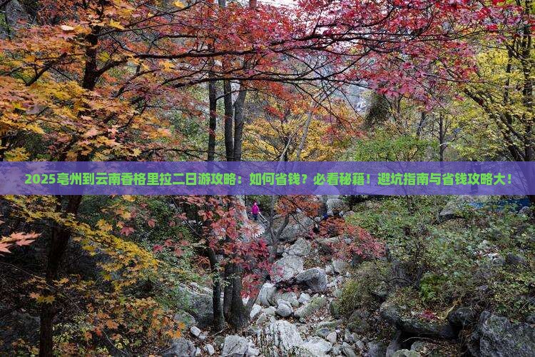 亳州到云南香格里拉二日游