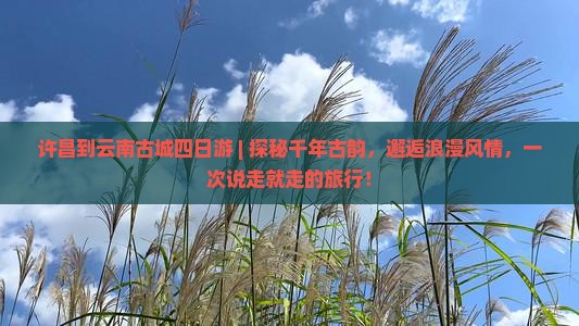 许昌到云南古城四日游