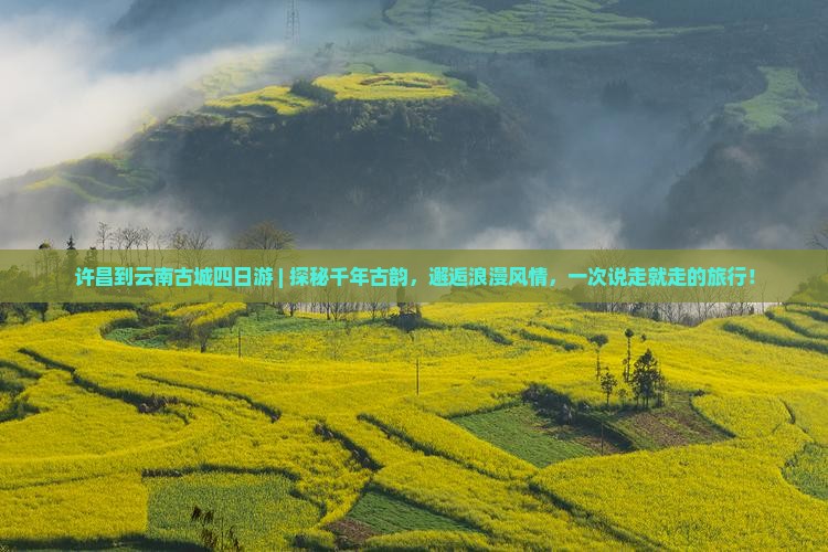 许昌到云南古城四日游