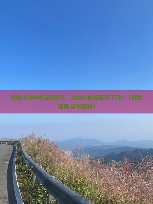 阜新去云南丽江旅游小吃