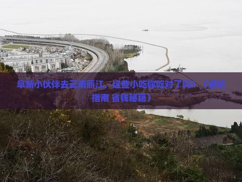 阜新去云南丽江旅游小吃