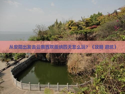 安阳去云南西双版纳四日游