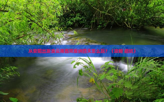 安阳去云南西双版纳四日游