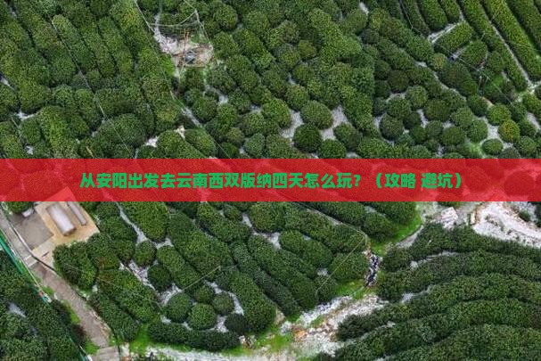 安阳去云南西双版纳四日游