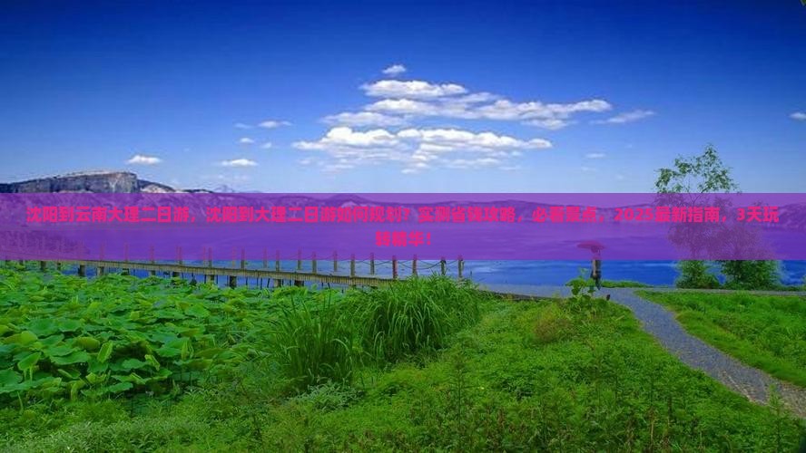 沈阳到云南大理二日游
